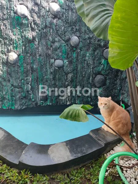 image RUMAH DI BCF SEKAWAN MOLEK (4)