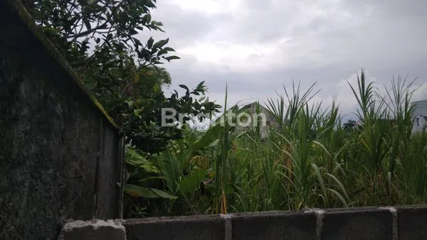 image TANAH KERING DI LINGKUNGAN VILLA (2)