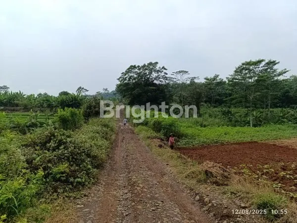 image TANAH SIAP BANGUN DI WONOSEGORO JAWA TENGAH (4)