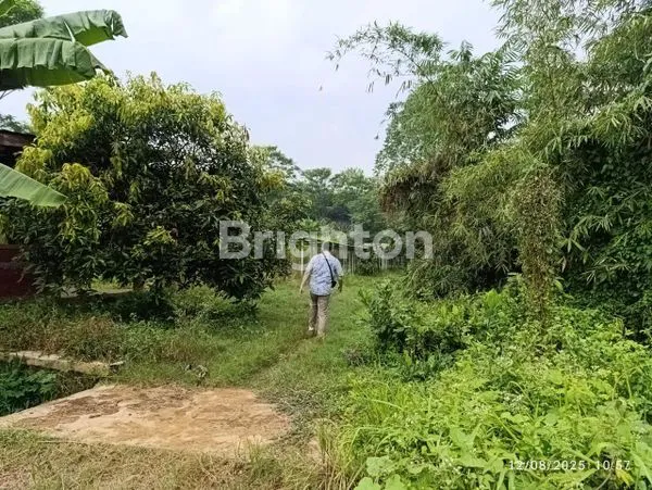 image TANAH SIAP BANGUN DI WONOSEGORO JAWA TENGAH (3)