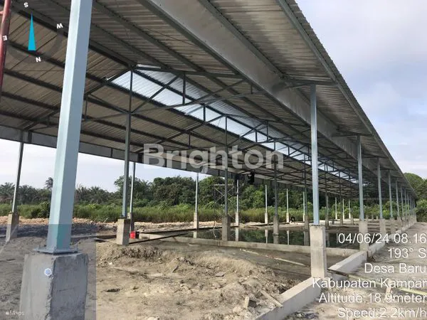 image TANAH SIAP BANGUN DI WONOSEGORO JAWA TENGAH (2)