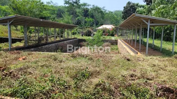 image TANAH SIAP BANGUN DI WONOSEGORO JAWA TENGAH (5)