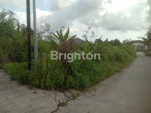 image INVESTASI STRATEGIS: TANAH 2942 M2 DEKAT PANTAI MANGGAR & AKSES TOL (4)