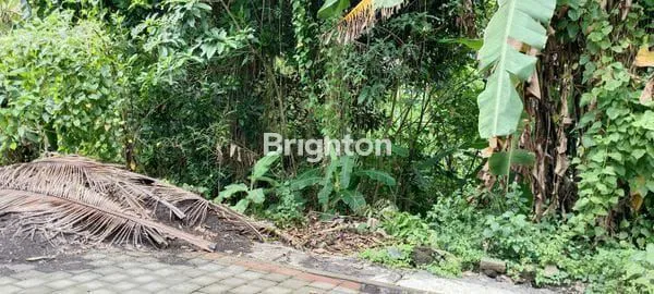 image DIJUAL TANAH SIAP BANGUN DI DALUNG – INVESTASI PALING TEPAT! (3)