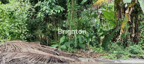 image DIJUAL TANAH SIAP BANGUN DI DALUNG – INVESTASI PALING TEPAT! (6)