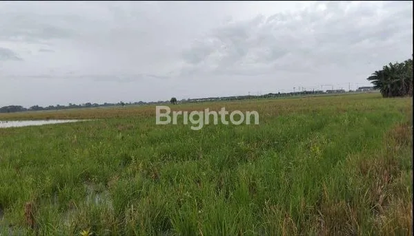 image TANAH LUAS 3,4 HEKTAR DI ZONA KUNING BEKASI  (4)
