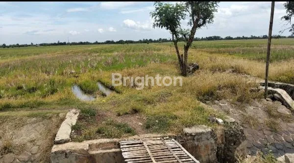 image TANAH LUAS 3,4 HEKTAR DI ZONA KUNING BEKASI  (3)