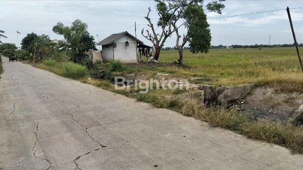 image TANAH LUAS 3,4 HEKTAR DI ZONA KUNING BEKASI  (2)
