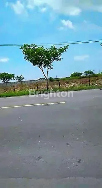 image DIJUAL TANAH LUAS 4 HEKTAR DI WIDANG ZONA INDUSTRI 3 TUBAN (3)