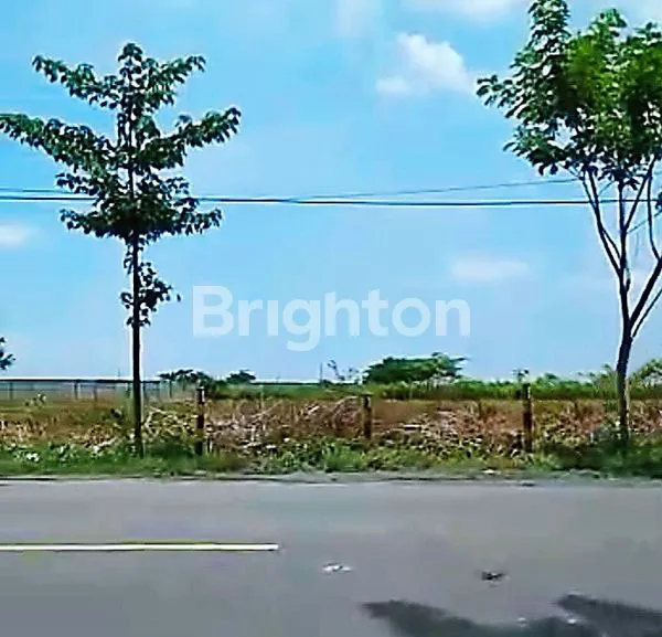 image DIJUAL TANAH LUAS 4 HEKTAR DI WIDANG ZONA INDUSTRI 3 TUBAN (1)