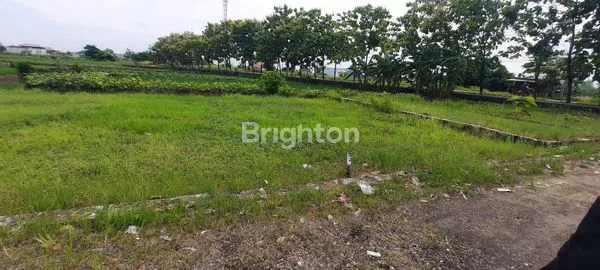 Gambar Property TANAH KAVLING MENGANTI GRESIK