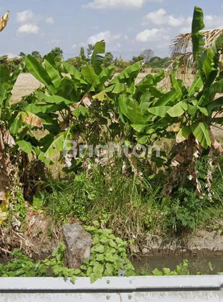 Gambar Property DISEWAKAN TANAH