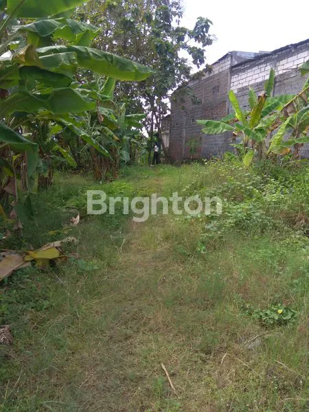 Gambar Property TANAH LAMONGAN