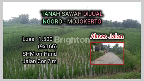 Gambar Property DIJUAL LAHAN SAWAH NGORO MOJOKERTO