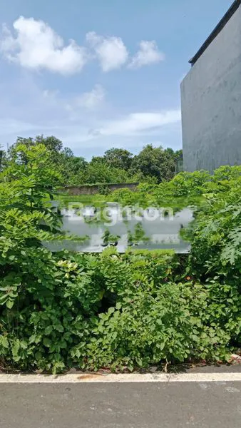 Gambar Property TANAH DAERAH NUSA DUA DIJUAL CEPAT OWNER BUTUH UANG CEPAT LOKASI VILA DAN SEJUK