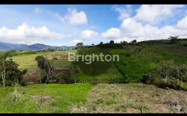 Gambar Property DIJUAL TANAH BORONGAN ADA TANDON BESAR DAN PAM.