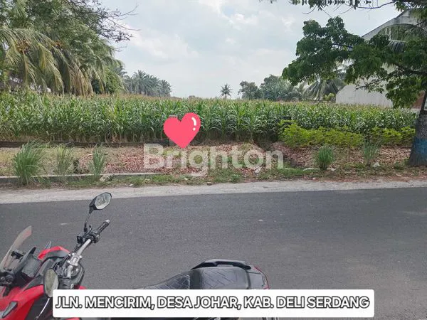 Gambar Property LAHAN DARAT KERING DAN DATAR SELUAS 6600 METER, SHM, PERSIS DI PINGGIR JALAN RAYA UTAMA MENUJU PAJAK REBO, MENCIRIM, SANGAT COCOK UNTUK DIBANGUN KOMPLEK PERUMAHAN