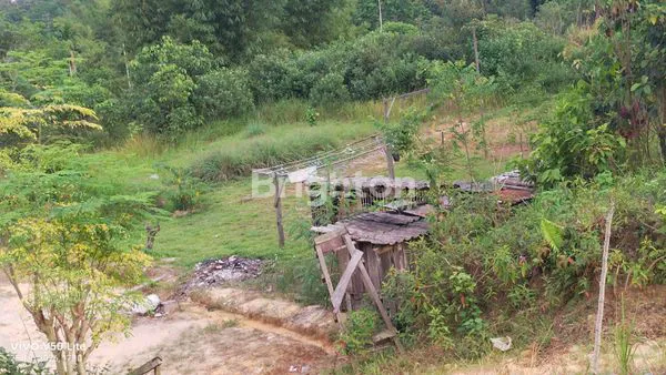 Gambar Property \UD83D\UDC49 TANAH DI JUAL \UD83D\UDC48