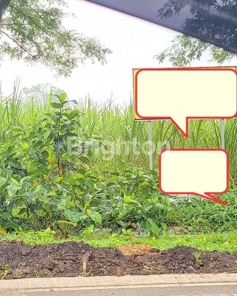 Gambar Property DI JUAL TANAH STARTEGIS JALAN RAYA PAKIS