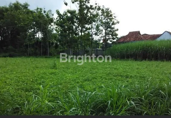 Gambar Property CITRALAND, BUKIT GOLF, LOKASI PREMIUM, AREA EKSKLUSIF, DEKAT KONSULAT AMERIKA SERIKAT