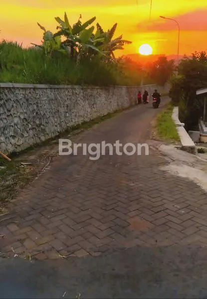 Gambar Property TANAH PINGGIR JALAN MURAH JUNREJO
