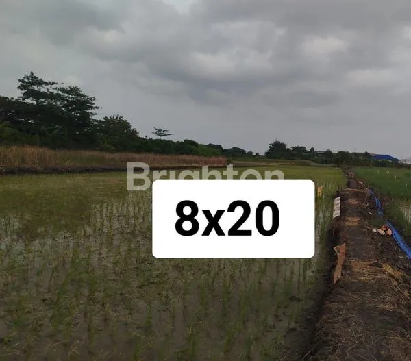 Gambar Property TANAH DI KEDUNG COWEK, LEBAK JAWA TIMUR