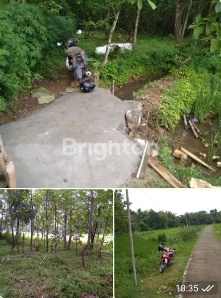 Gambar Property TANAH LUAS 1500 M² DI SELOGIRI, SHM SIAP HUNI