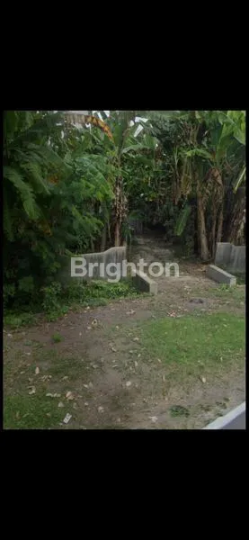 Gambar Property DIJUAL: TANAH STRATEGIS DI NGROMBO, BAKI – SELANGKAH KE SOLO BARU!