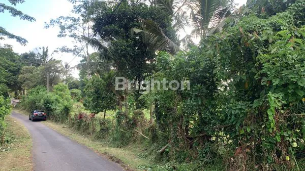 Gambar Property DIJUAL TANAH BANJAR TIREMAN DESA BENGKEL SARI , SELEMADEG BARAT , TABANAN BALI