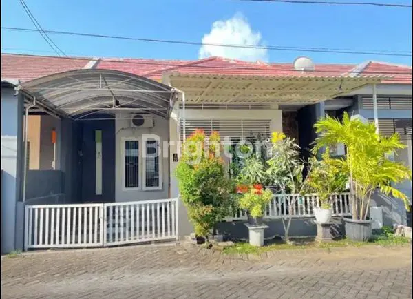 Gambar Property KOALA REGENCY DEKAT ARAYA KLAMPIS SEMOLOWARU