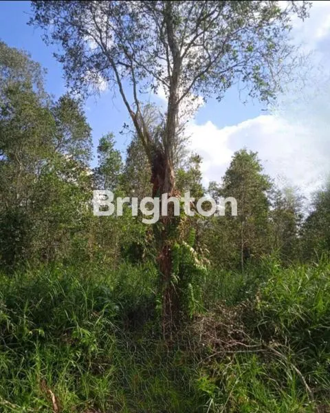 Gambar Property DI JUAL CEPAT