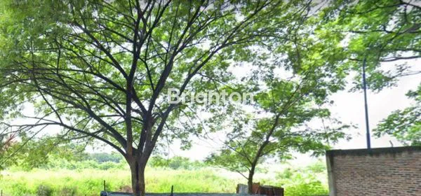 Gambar Property TANAH KEBOMAS GRESIK BISA INDUSTRI / GUDANG LOKASI STRATEGIS DEKAT PT BARATA / NIPPON PAINT AREA PABRIK DAN GUDANG DEKAT AKSES TOL MURAH