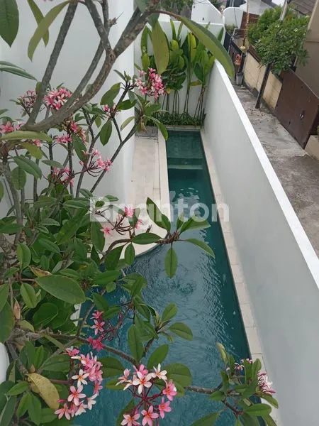 Gambar Property NEW 3-BEDROOM VILLA FOR SALE – TUMBAK BAYUH PRIVATE POOL | EXCELLENT INVESTMENT
