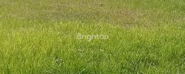 Gambar Property TANAH  BUKIT PALMA CITRALAND SURABAYA DEKAT SEKOLAH CITRA BERKAT