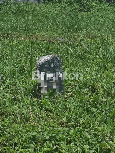 Gambar Property UNIT SIAP BANGUN ATAU TANAH KOMERSIAL AREA DISEWAKAN PAKUWON SQUARE SURABAYA BARAT