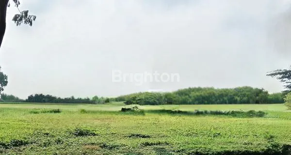 Gambar Property KAVLING GOLF VIEW JUAL MURAH HARGA DIBAWAH PASARAN, BUKIT GOLF INTERNASIONAL CITRALAND SURABAYA BARAT, SIAP BANGUN