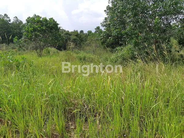 Gambar Property TANAH SANGAT LUAS DAN MURAH DI SUBANG, JAWA BARAT