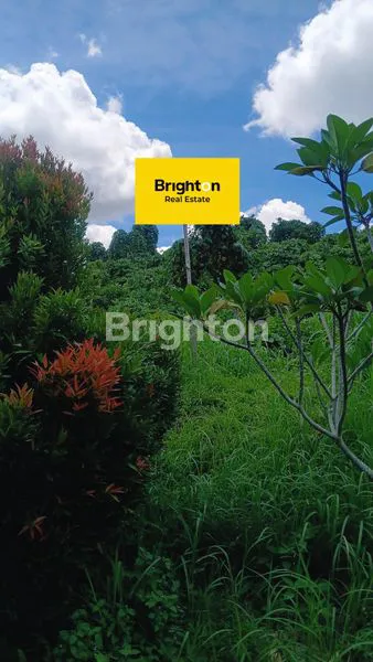 Gambar Property TANAH SIAP BANGUN DI PERUMAHAN CITRALAND CITY SAMARINDA