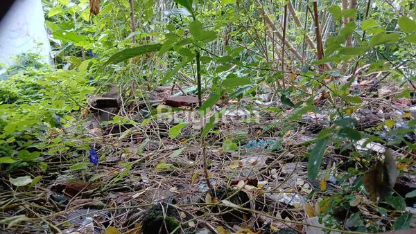 Gambar Property TANAH STRATEGIS DI GROGOL, DEKAT PASAR & TERMINAL