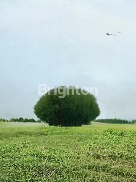 Gambar Property KAVLING JUAL MURAH, SELAT GOLF CITRALAND,