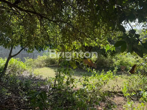 Gambar Property DIJUAL TANAH