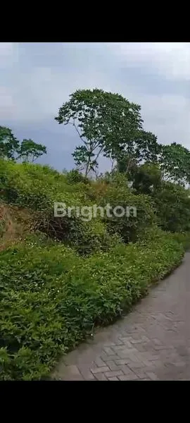 Gambar Property INVESTASI STRATEGIS TANAH 20.000M² DI NGORO