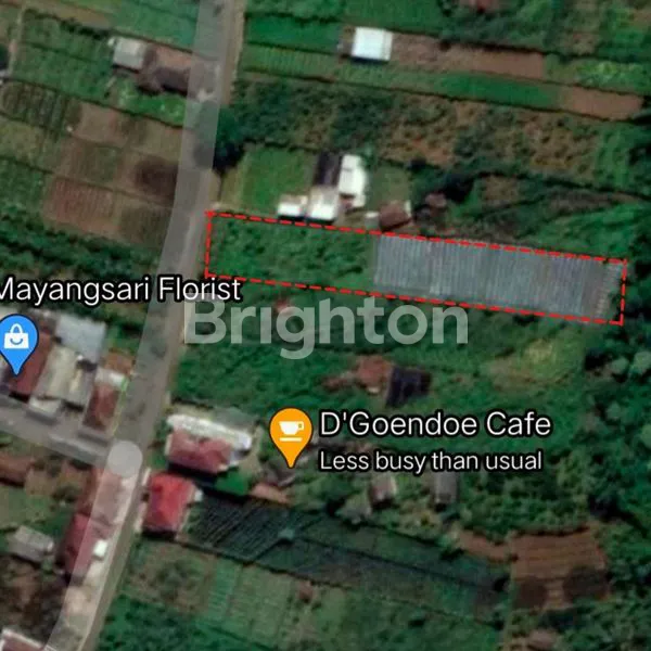 image TANAH KEBUN AKTIF LUAS BUMIAJI BATU (1)