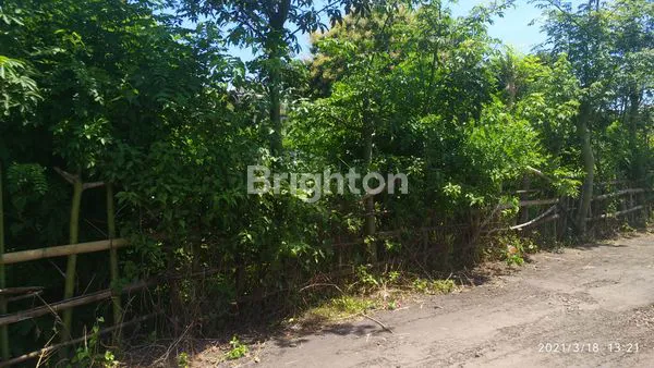 image LAHAN UNGASAN 8 ARE (3)