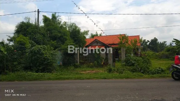 image TANAH PLUS BANGUNAN DS. WINDUREJO MOJOKERTO (1)