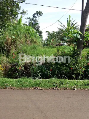 image TANAH LUAS AREA LAWANG (1)