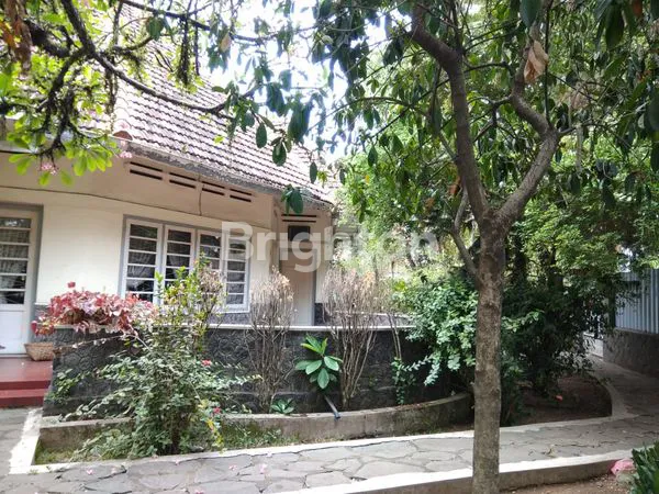 image RUMAH 2 LANTAI JANTUNG KOTA JEMBER (6)