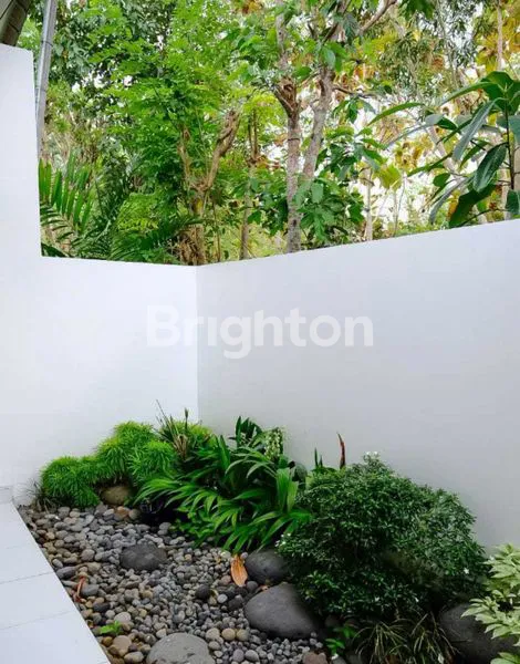 image RUMAH MINIMALIS DI PECATU (7)