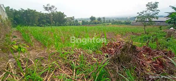 image TANAH BAGUS UNTUK GUDANG RANDUAGUNG SINGOSARI MALANG (2)