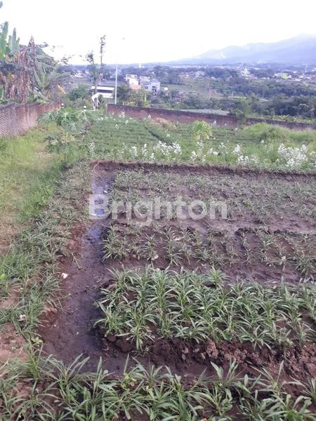 image TANAH STRATEGIS DI LOKASI BELAKANG MALL BATU . (3)